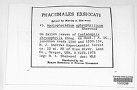 Image Associated With the Occurence
